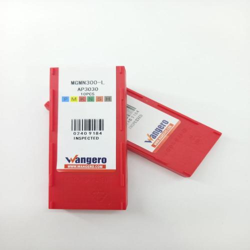 MGMN300-L AP3030-APE