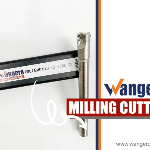 ESE ASM  C10-12-120L-2T INSERT KNIFEADMT070204