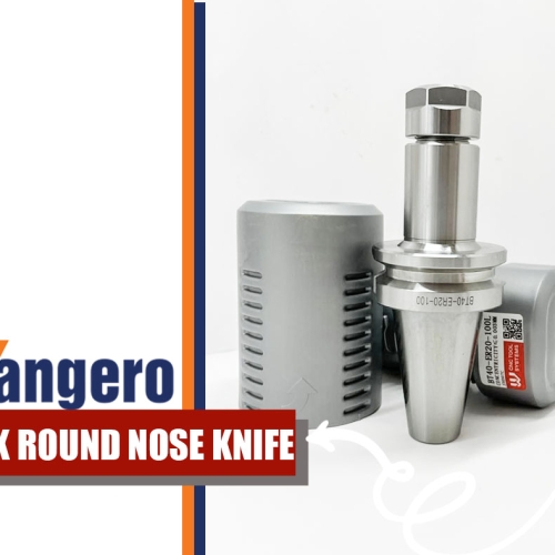 BT40-ER20-100WANG BRAND